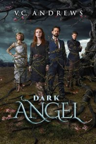 ბნელი ანგელოზი / Dark Angel