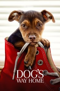 ძაღლის გზა შინისაკენ / A DOGS WAY HOME