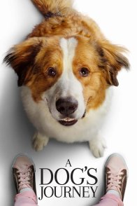 ძაღლის მოგზაურობა / A Dogs Journey