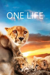 ერთი სიცოცხლე / ONE LIFE