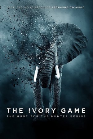 ნადირობა სპილოს ძვალზე / The Ivory Game