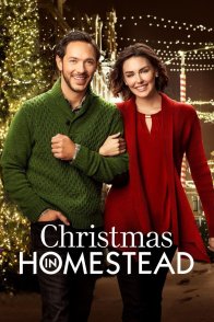 შობა ჰოუმსტედში / CHRISTMAS IN HOMESTEAD