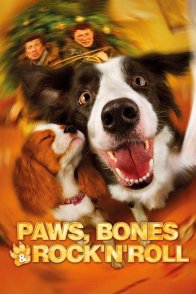 ფუმფულა ნაძვები / SHAGGY CHRISTMAS TREES