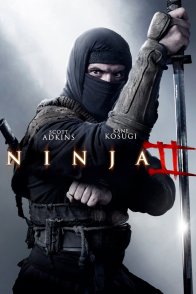 ნინძა 2 / Ninja: Shadow of a Tear