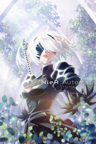 ნიერი: ავტომატა ვერსია 1.1ა / NieR:Automata Ver1.1a
