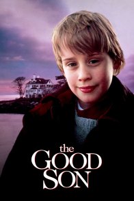 კარგი შვილი / THE GOOD SON