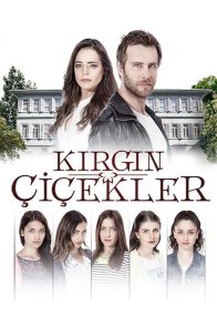 ობოლი ყვავილი / Kirgin cicekler