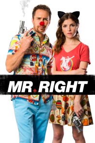 მისტერ სამართლიანი / MR. RIGHT
