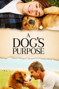ძაღლური ცხოვრება / A DOGS PURPOSE