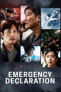 საგანგებო სიტუაცია / EMERGENCY DECLARATION