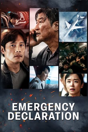 საგანგებო სიტუაცია / EMERGENCY DECLARATION