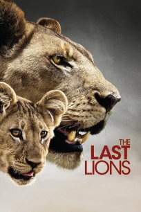 უკანასკნელი ლომები / THE LAST LIONS