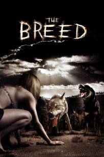 ხროვა / THE BREED