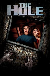 ხვრელი / THE HOLE