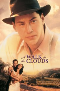 გასეირნება ღრუბლებში / A WALK IN THE CLOUDS