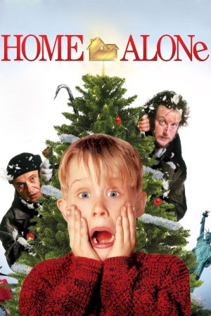 Home Alone / მარტო სახლში (ქართულად)