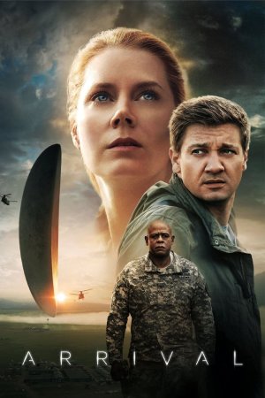 ჩამოსვლა / ARRIVAL