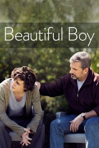 ლამაზი ბიჭი / Beautiful Boy