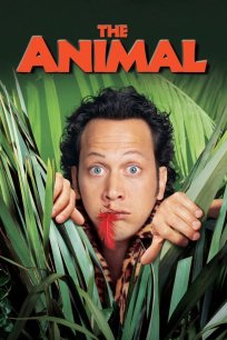 ცხოველი / Animal