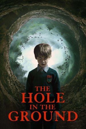 ხვრელი მიწაში / The Hole in the Ground