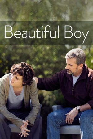 ლამაზი ბიჭი / Beautiful Boy