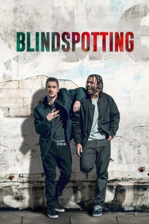 ბრმა მხარეები / Blindspotting