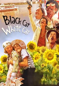 შავი კატა, თეთრი კატა / Black Cat, White Cat