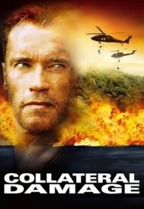 ზარალის ანაზღაურება / Collateral Damage