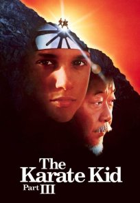 კარატისტი ბიჭუნა 3 / The Karate Kid 3