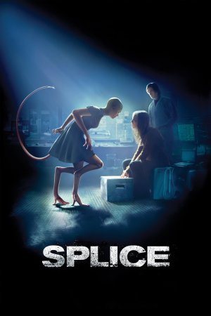 ჰიმერა / Splice