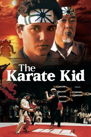 კარატისტი ბიჭუნა / The Karate Kid