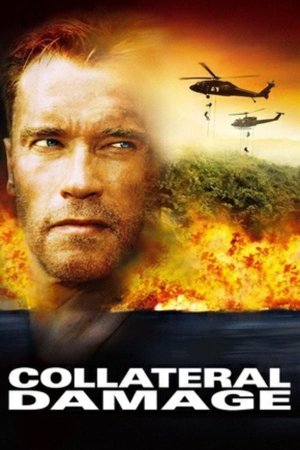 ზარალის ანაზღაურება / Collateral Damage