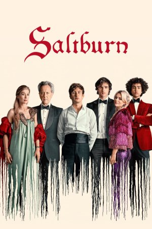 სოლტბერნი / Saltburn