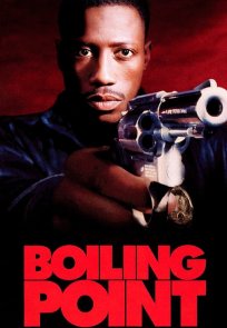 დუღილის წერტილი / Boiling Point