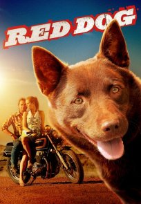წითელი ძაღლი / Red Dog