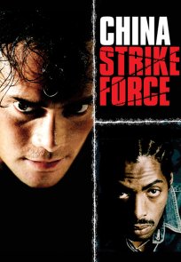 დამრტყმელი ჯგუფი ჩინეთიდან / China strike force