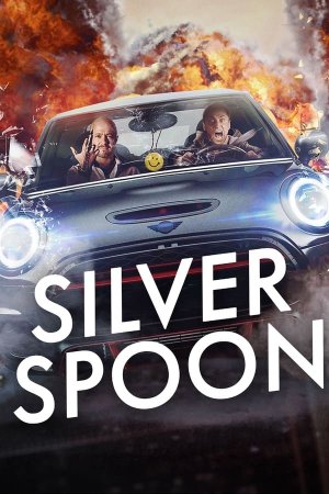 მაჟორი / SILVER SPOON