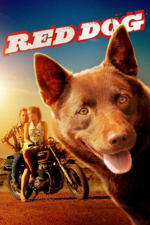 წითელი ძაღლი / Red Dog