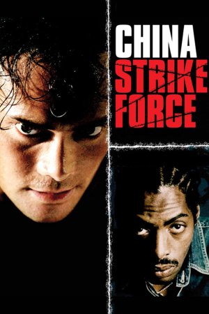 დამრტყმელი ჯგუფი ჩინეთიდან / China strike force