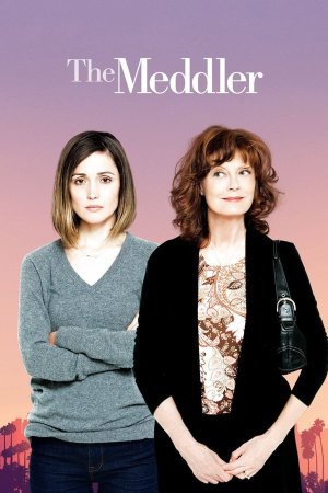 აბეზარი / THE MEDDLER