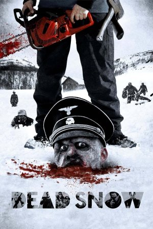 მკვდარი თოვლი / Dead Snow