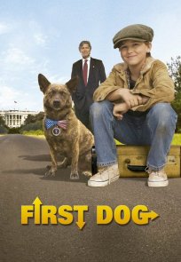 პირველი ძაღლი / First Dog