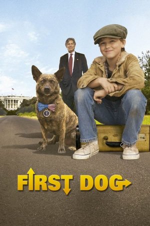 პირველი ძაღლი / First Dog