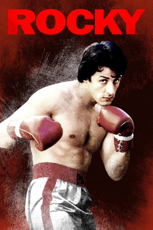 როკი / ROCKY
