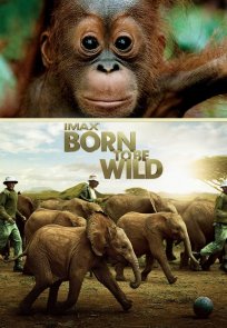 ველურებად დაბადებულნი / Born to Be Wild