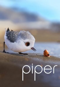 მგალობელი ჩიტი / Piper