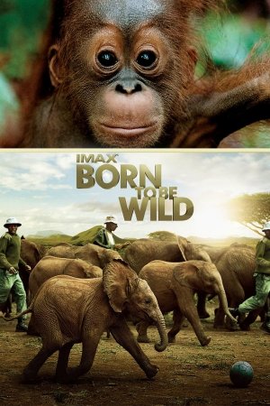 ველურებად დაბადებულნი / Born to Be Wild