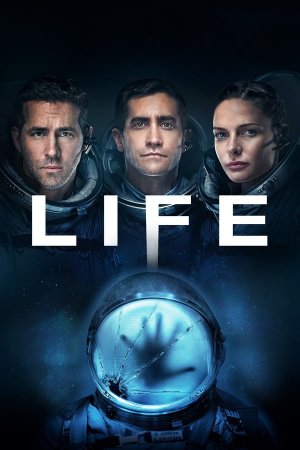 სიცოცხლე / LIFE