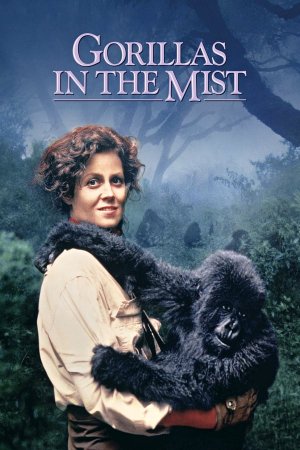 გორილები ნისლში / Gorillas in the Mist