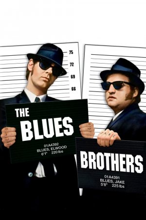 ძმები ბლუზები / The Blues Brothers